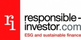 The Responsible Investor